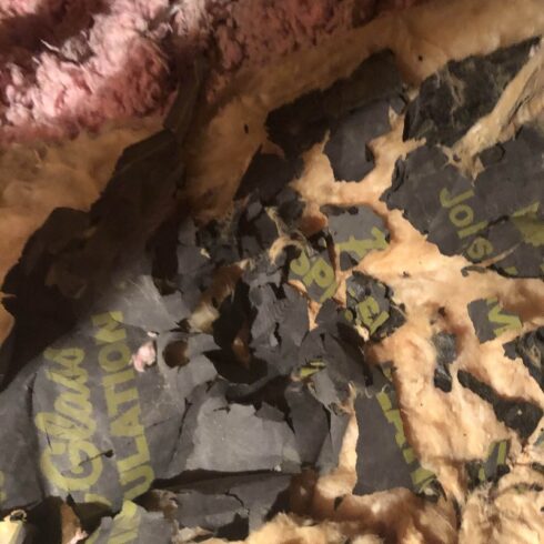 Attic Insulation Installation 8 | American HVAC and Refrigeration Services IMG 3262 1 |